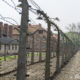 Auschwitz, Polen